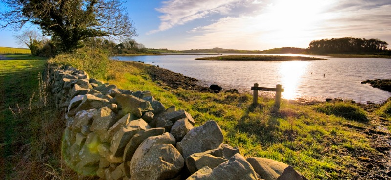 Strangford Lough