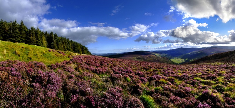 Wicklow Mountains