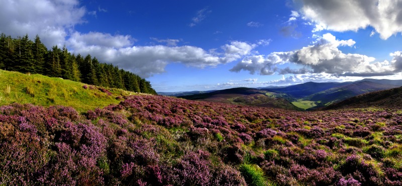 wicklow-mountains-ente-turismo